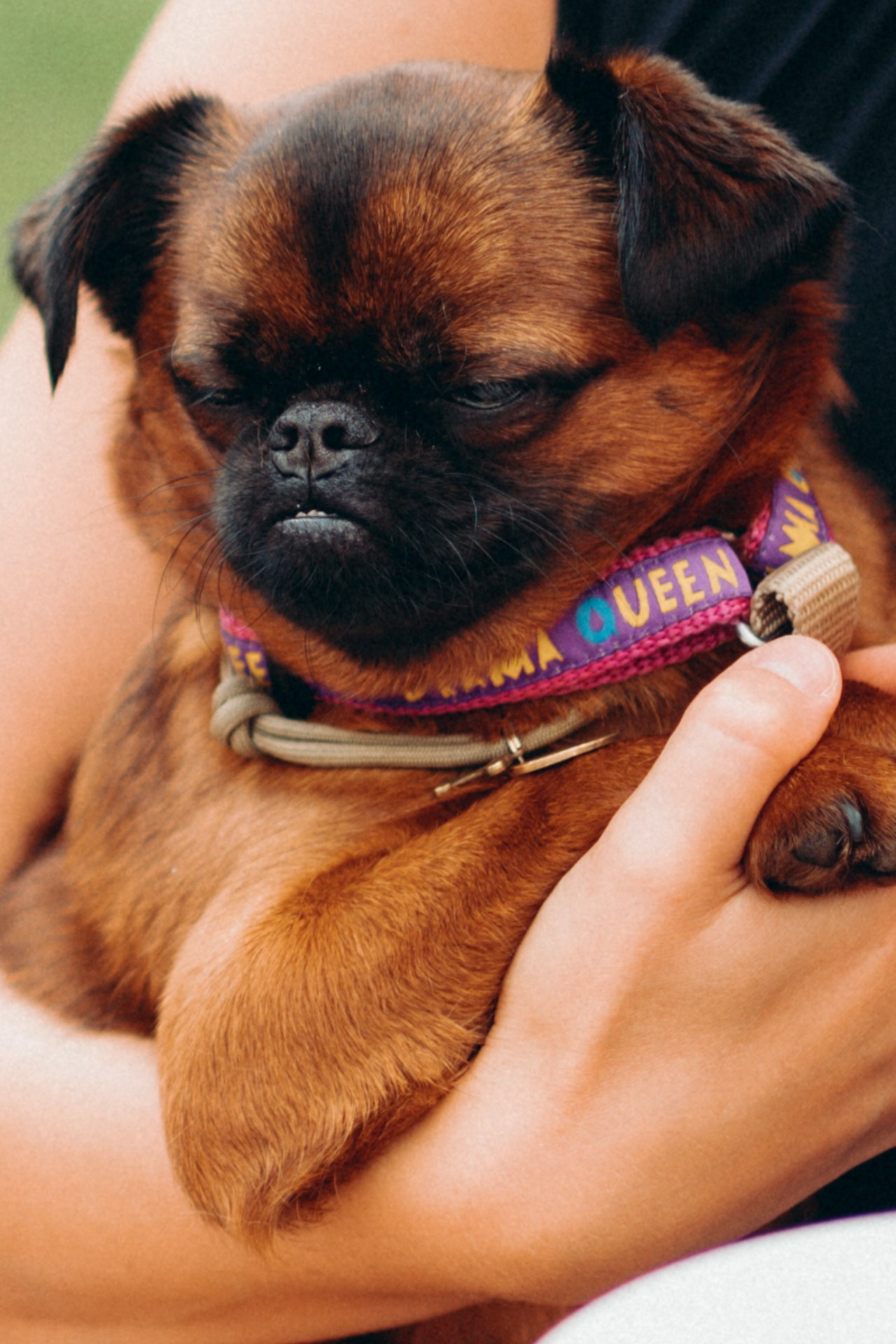 SPAGHETTATA! by italy. Сергей Грицанов Фотограф СПБ