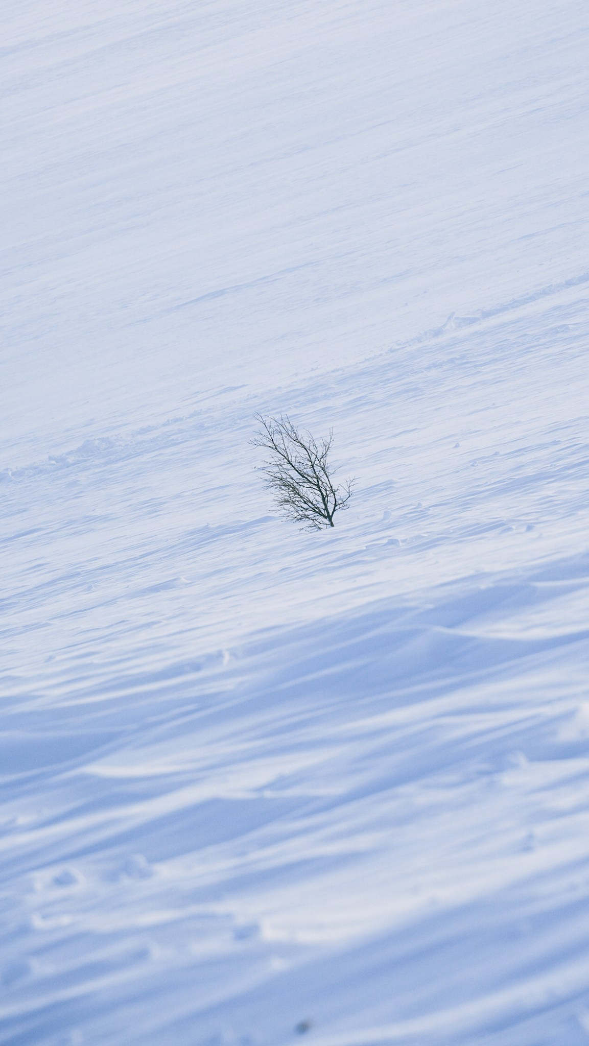 Приисковое. Человек с фотокамерой