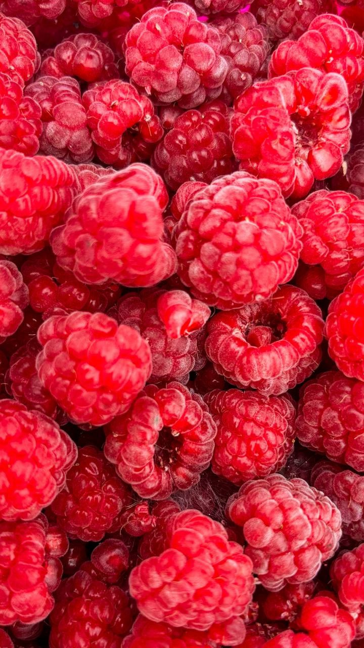 Вкусный юг, село Кабардинка (Геленджик). Персональный фотограф Москва