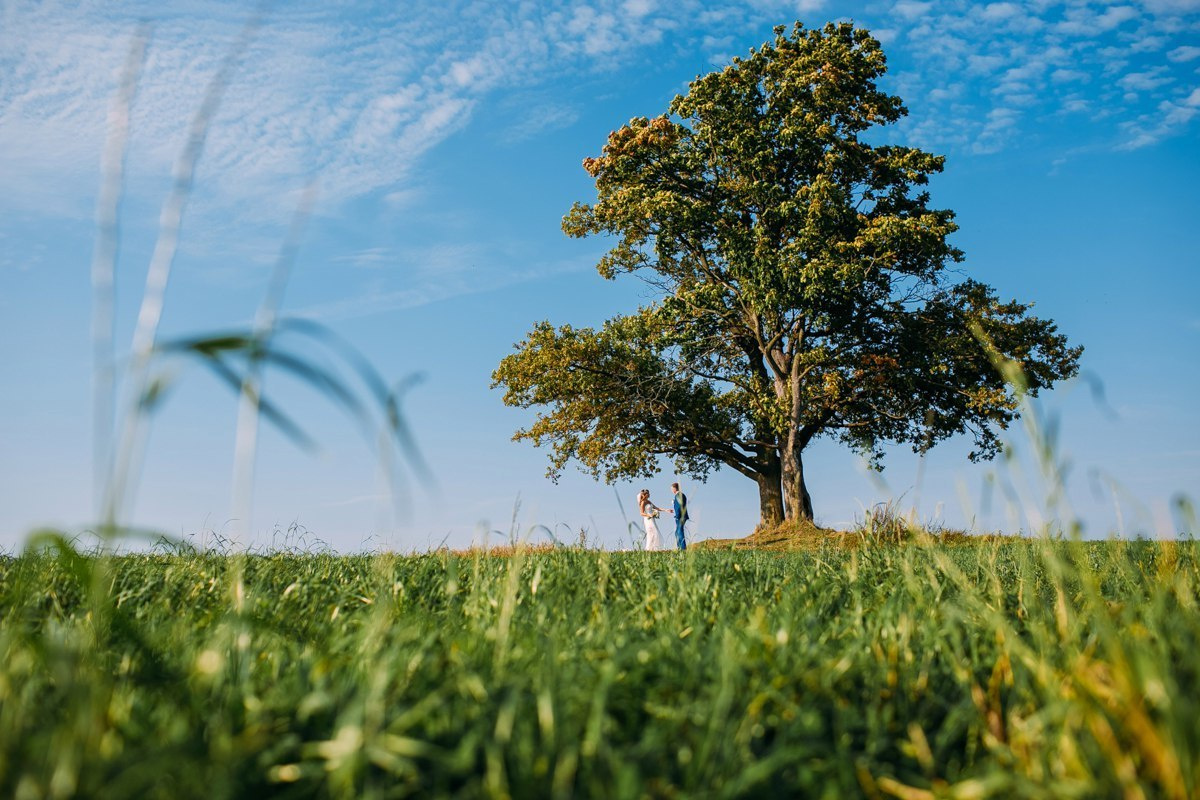 Свадебный фотограф в Санкт-Петербурге и Петергофе Андрей Заяц
