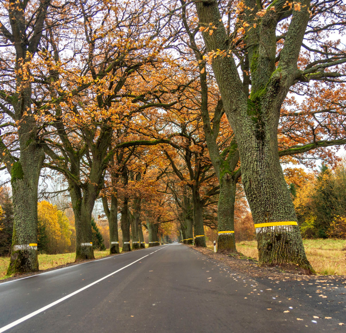 Пейзажи. Фотограф Павел Дунюшкин, г.Зеленоградск Калининградской области