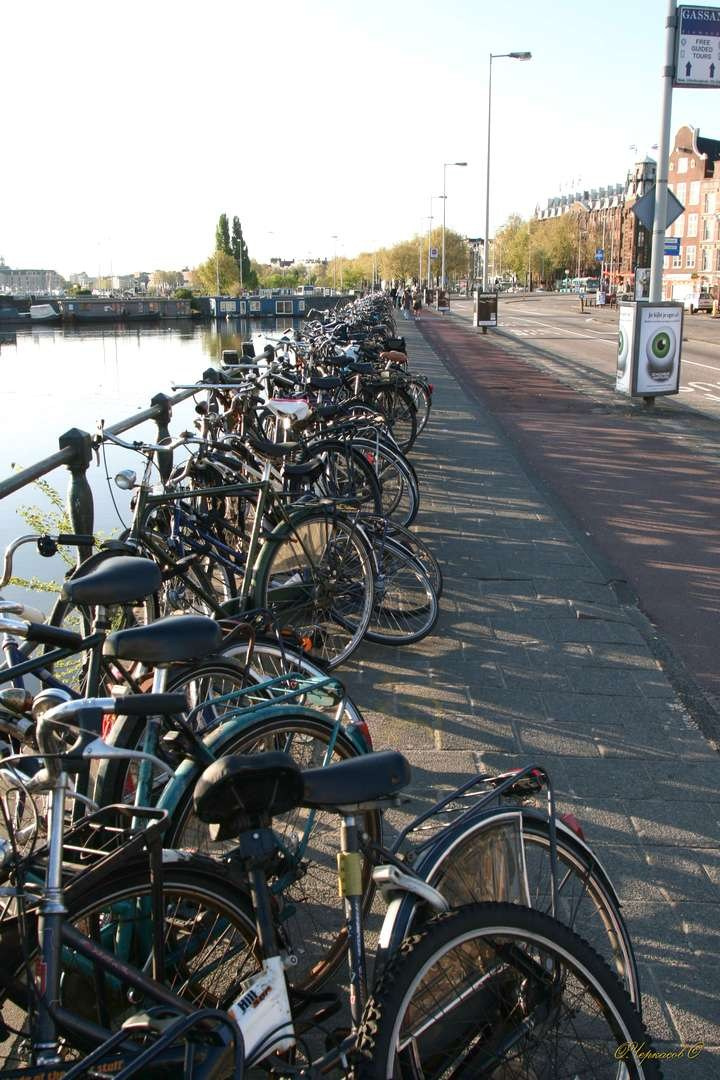 Голландия 2009 г. Улица, люди, жизнь…