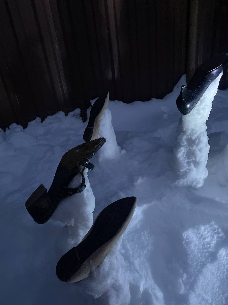 «Хроники холода» 2020. Лилия Ким. Междисциплинарный художник