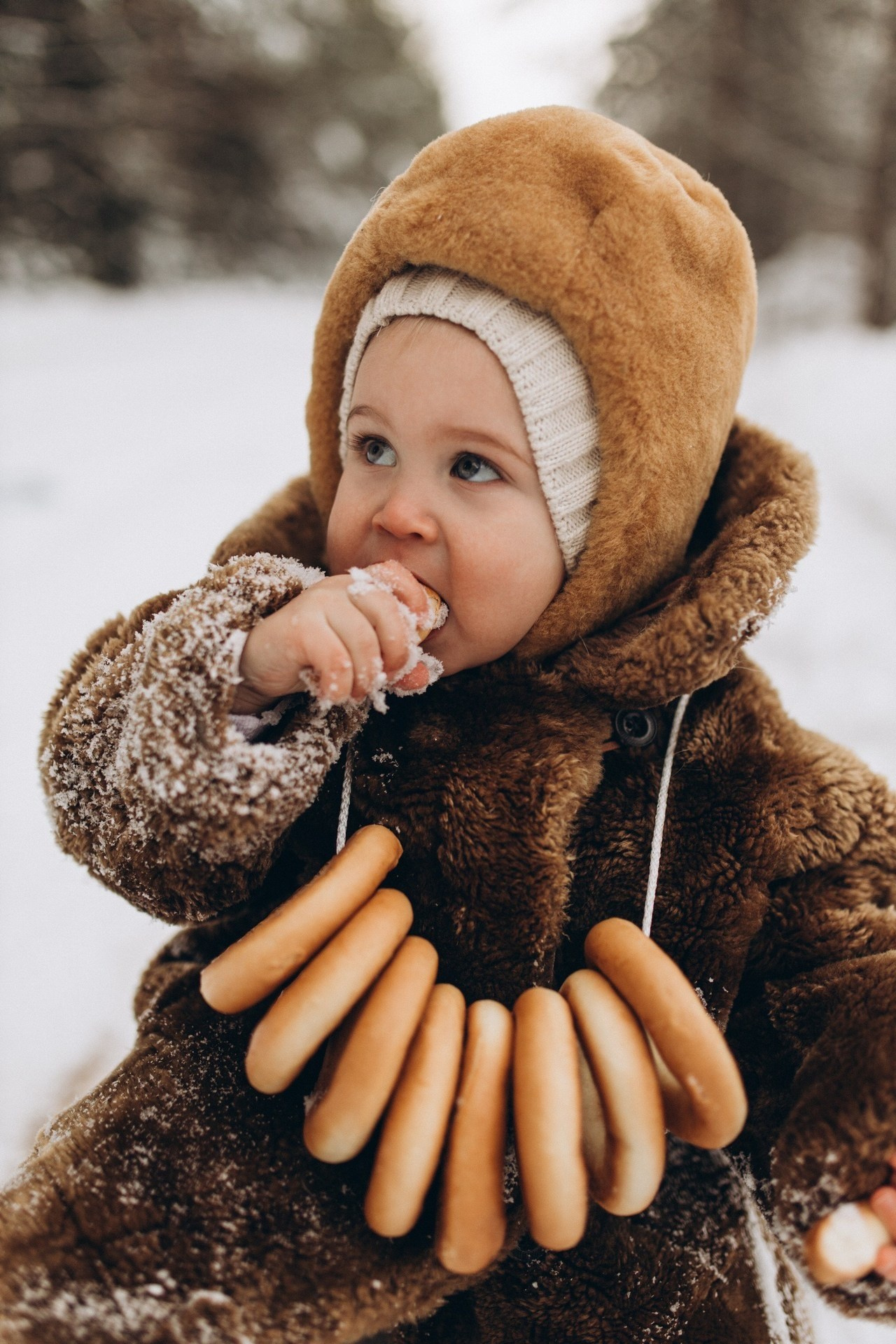 Приключение Вовы и его родителей. Услуги
