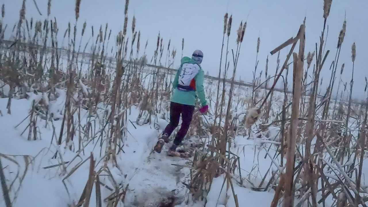 Mad Fox Ultra 50 miles 2024. Роман Капилюшов. Бег. Фото. Видео. г. Люберцы