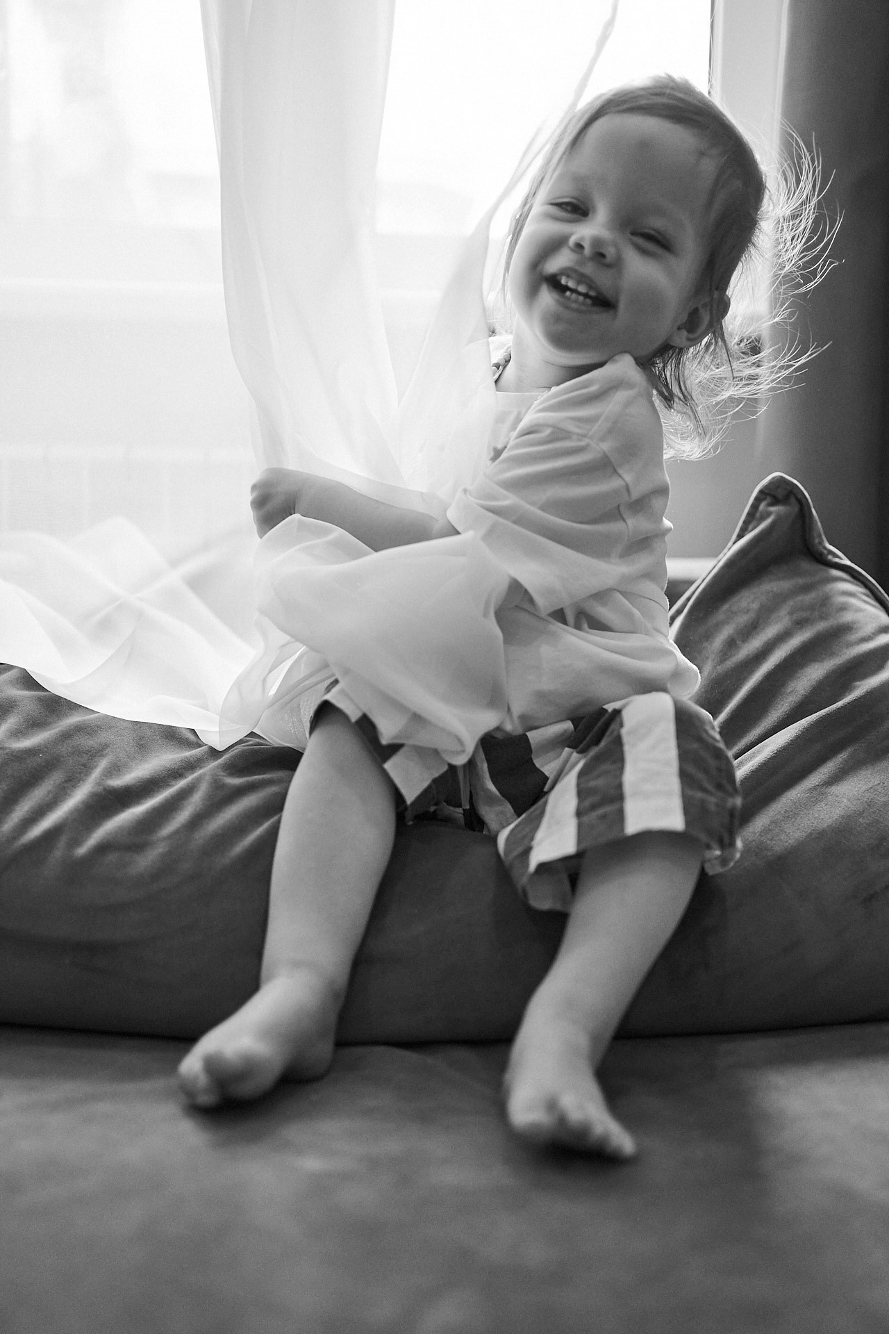 Аня, Майя и Пепси. Фотограф анималист Москва Дарья