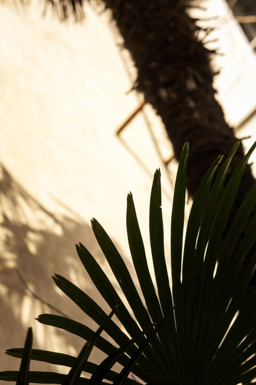 Сочи 2025. Фотограф Михаил Олейник