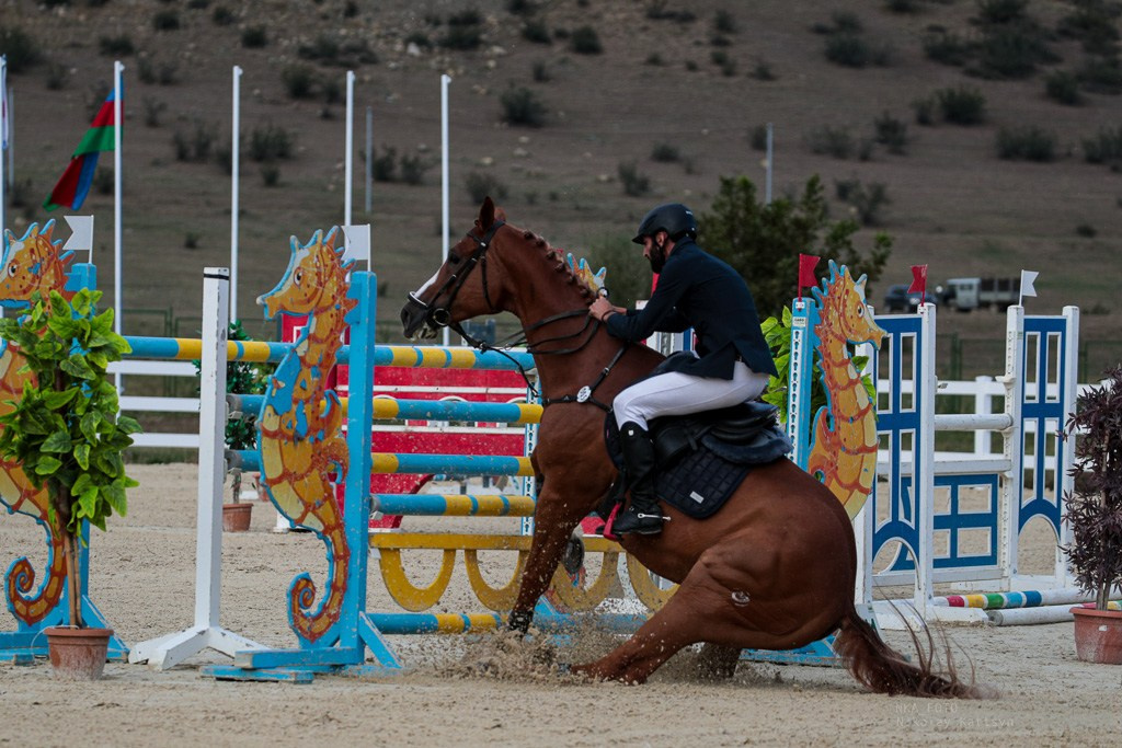 Конкур. Фотограф в Москве портреты | репортажи | спорт