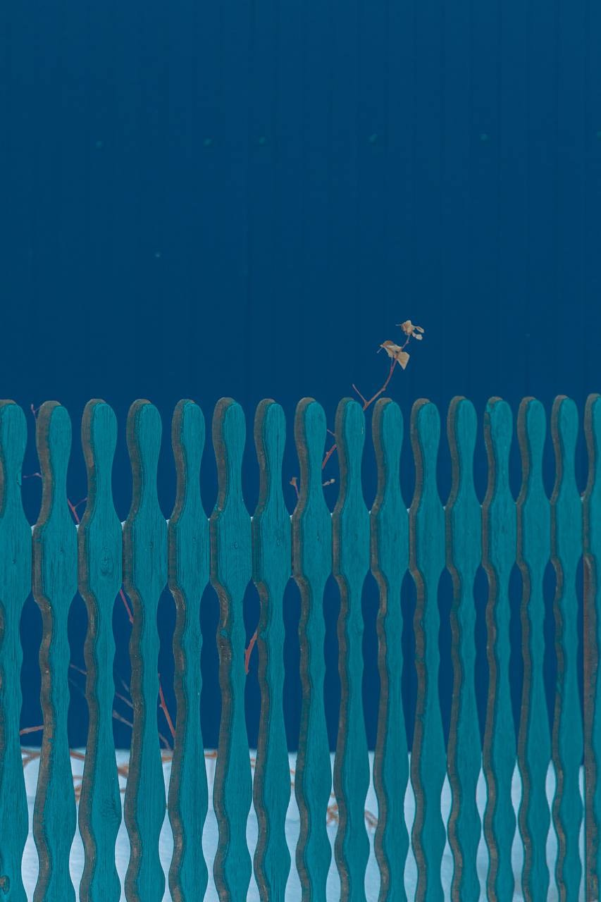 Пейзажи и город