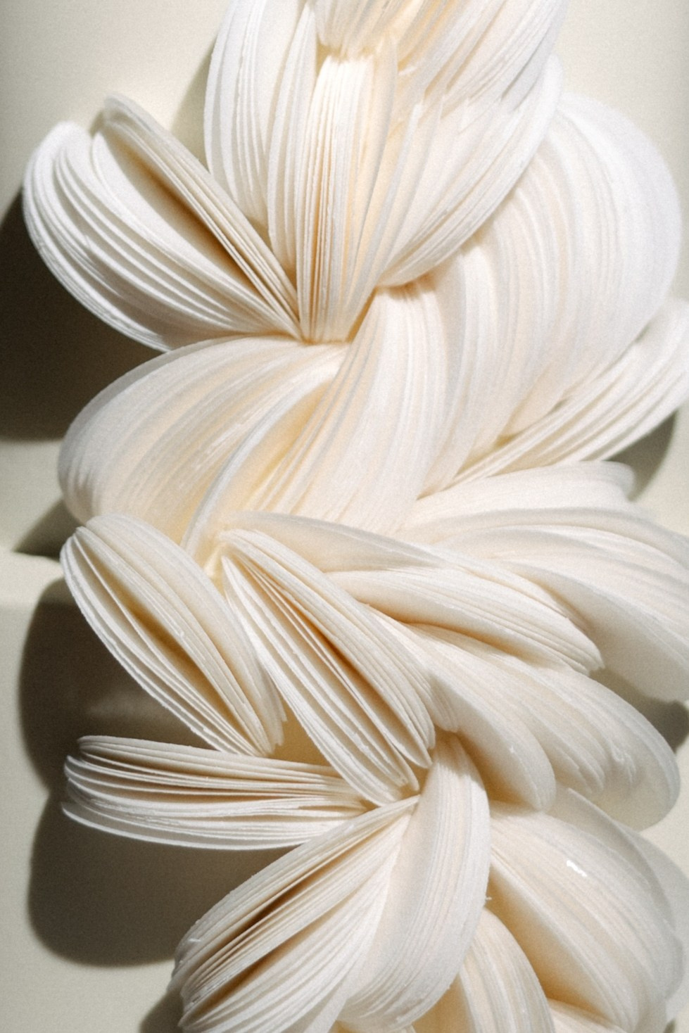 D+А. Свадебный и семейный фотограф Юлия Сафронова