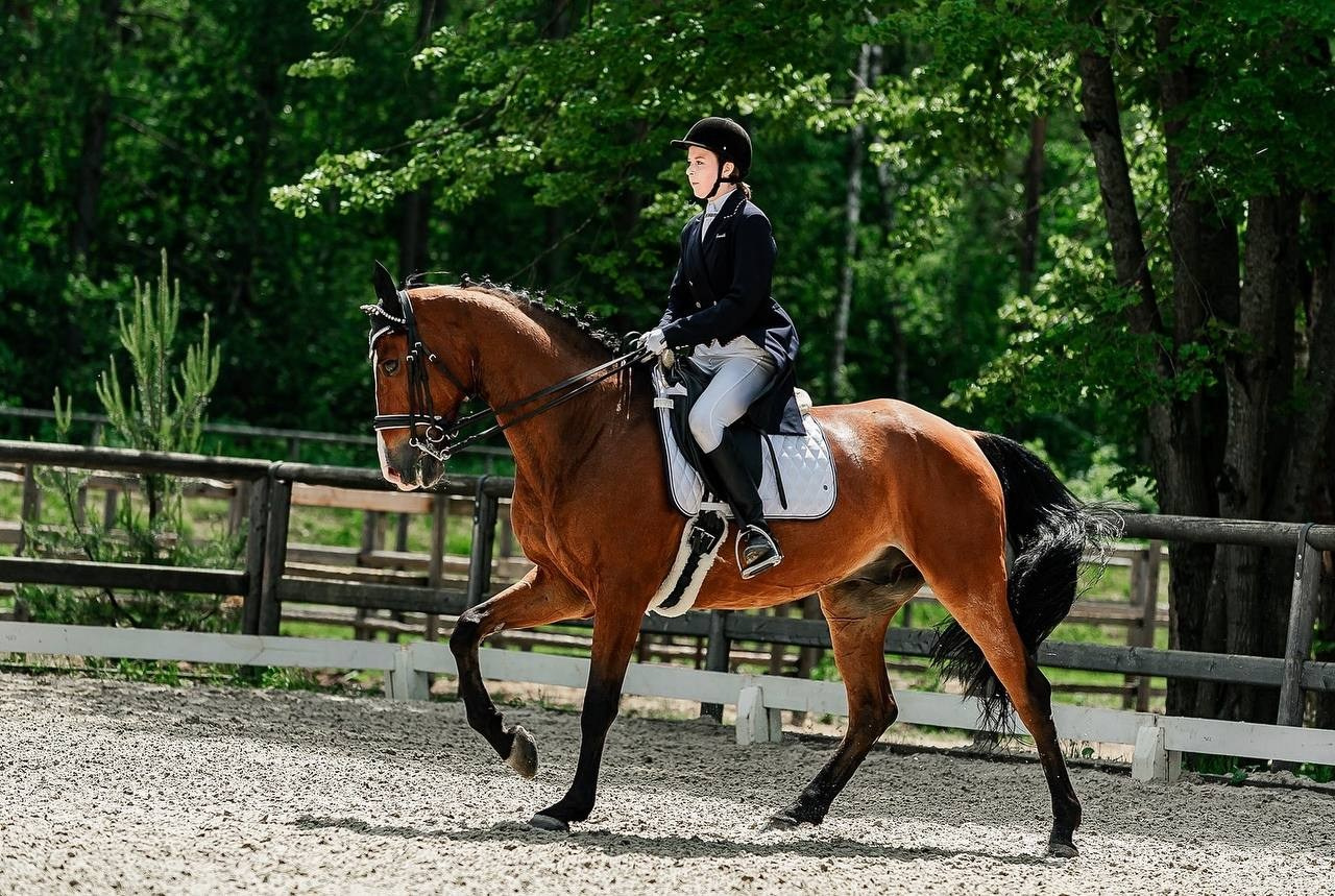 КУБОК КСК «АЛМАЗОВО» по ВЫЕЗДКЕ, 2 ЭТАП. Конный фотограф Куракина Дарья • Фотосессии с лошадьми