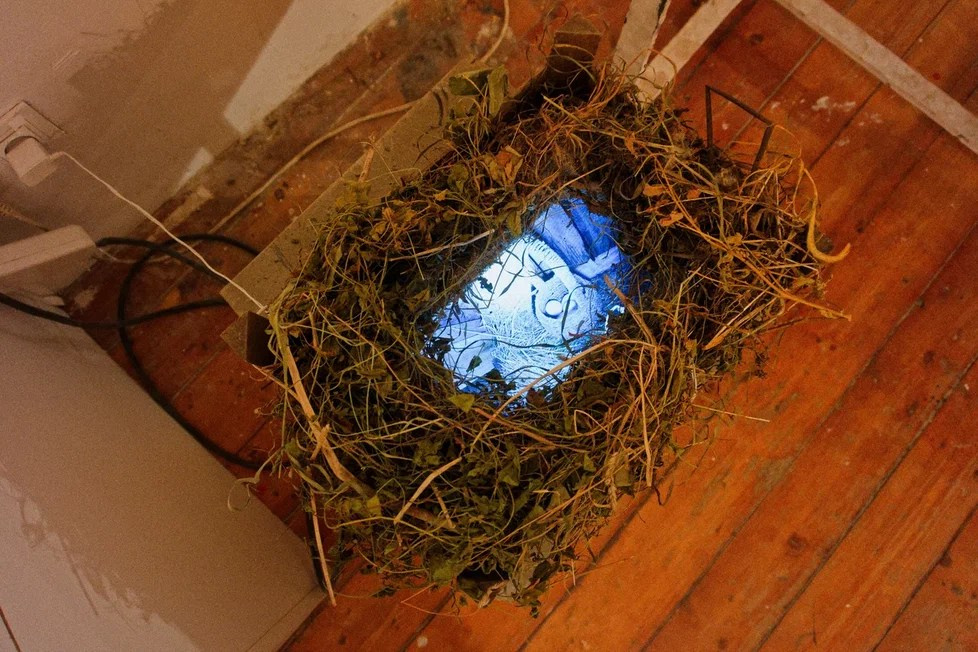 Пороги. Елизавета Иванова — независимый куратор, культуролог, исследователь художественных практик, художник