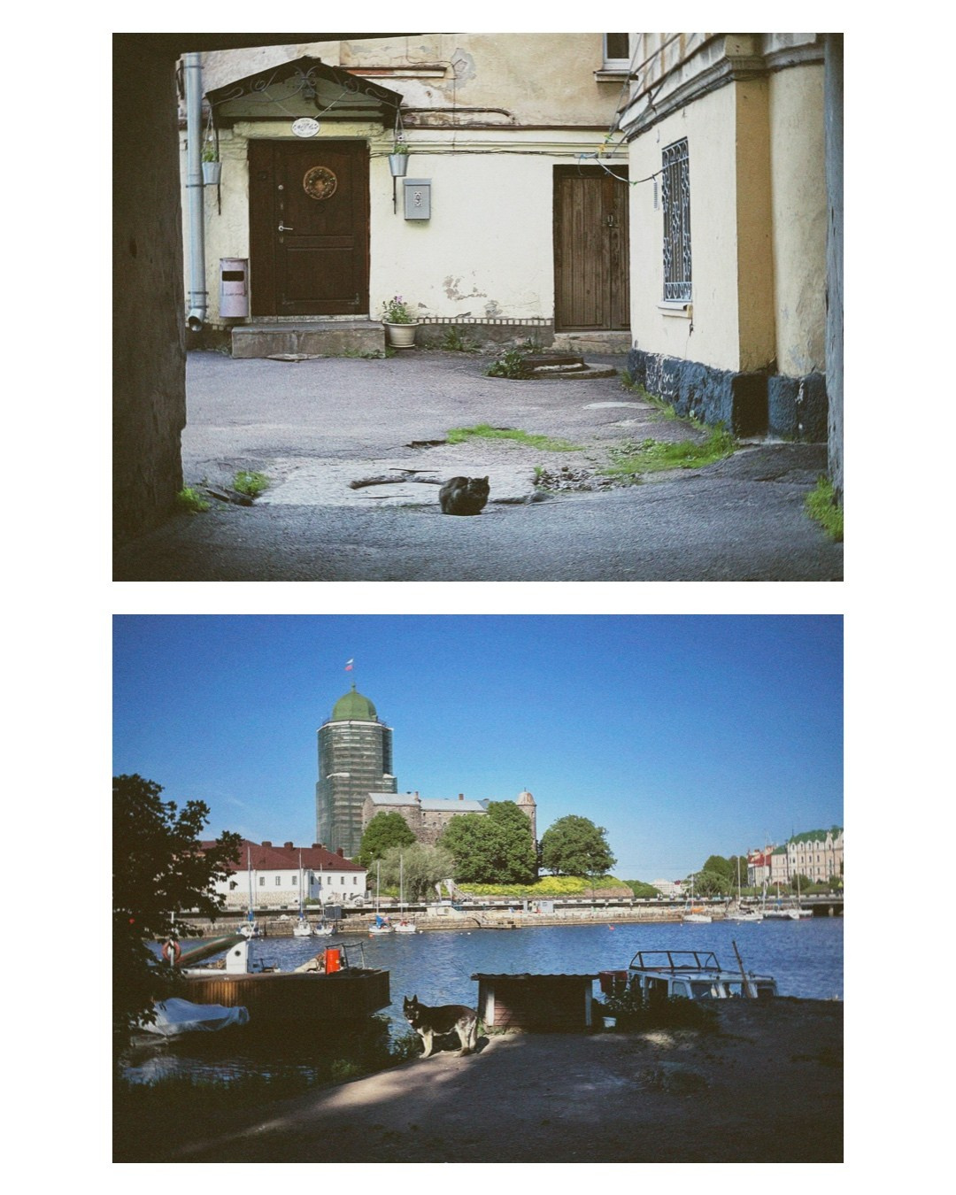 Vyborg. Alina Panover