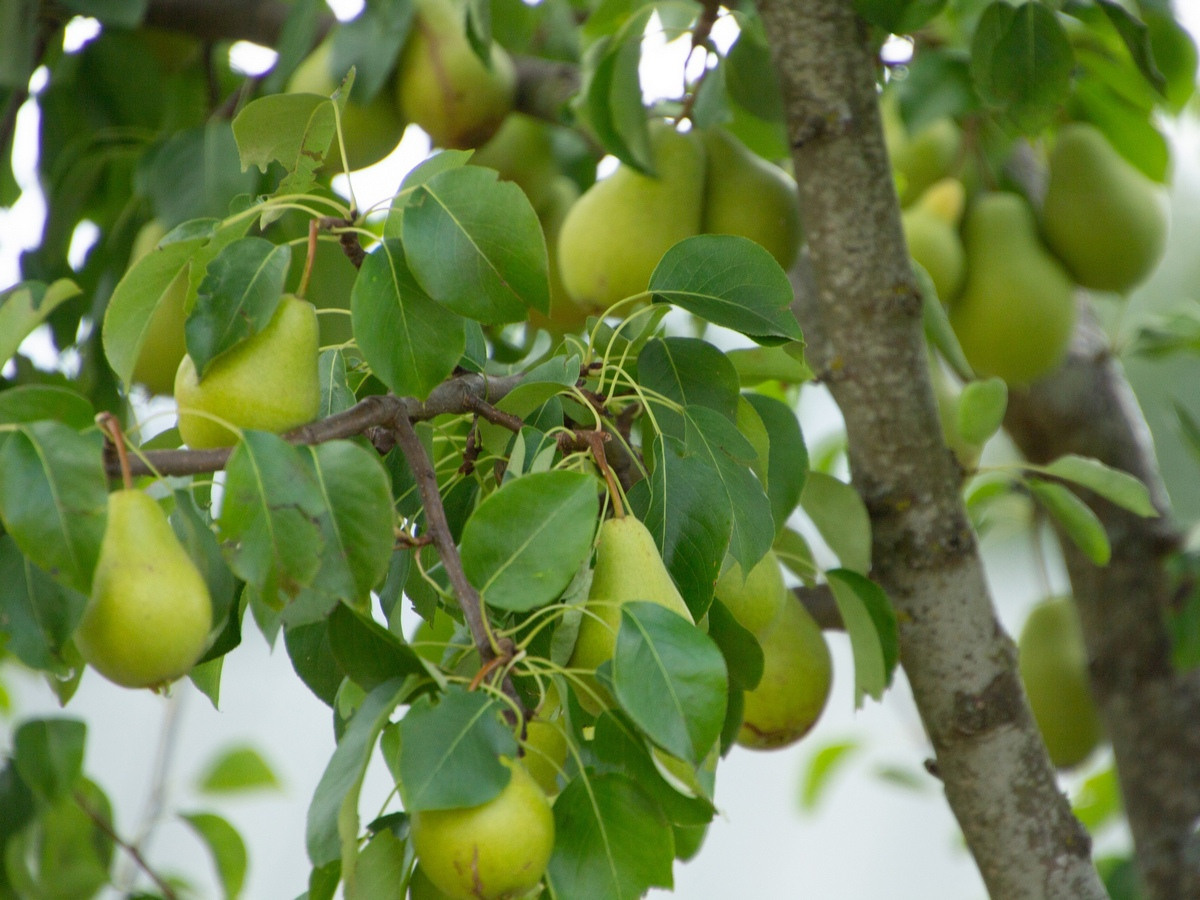 Выставки в Доме Шрёдера. Дом Шрёдера