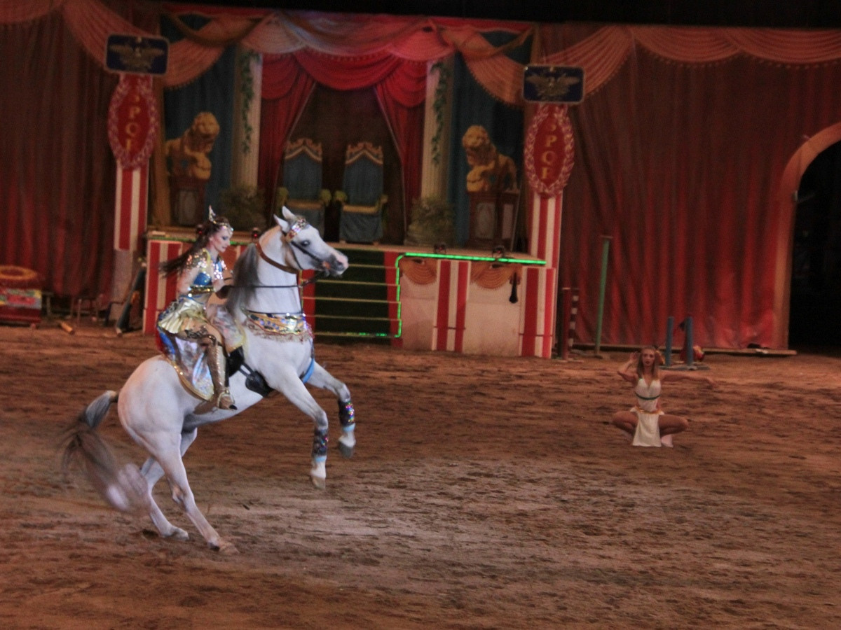 Выставки в Доме Шрёдера. Дом Шрёдера