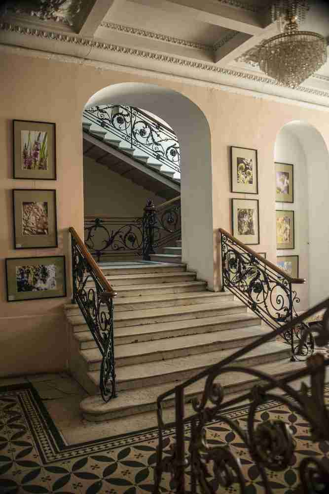 Выставки в Доме Шрёдера. Дом Шрёдера