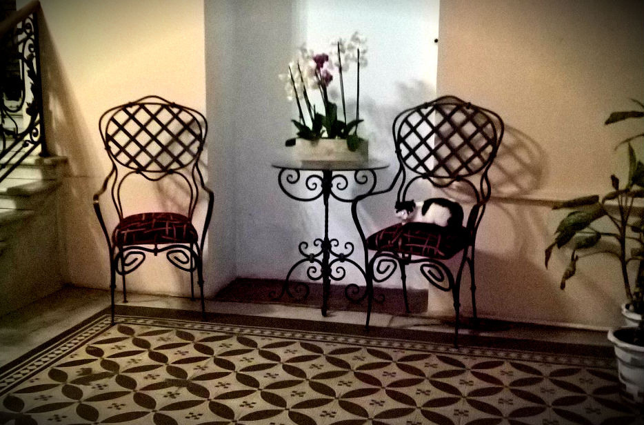 Выставки в Доме Шрёдера. Дом Шрёдера