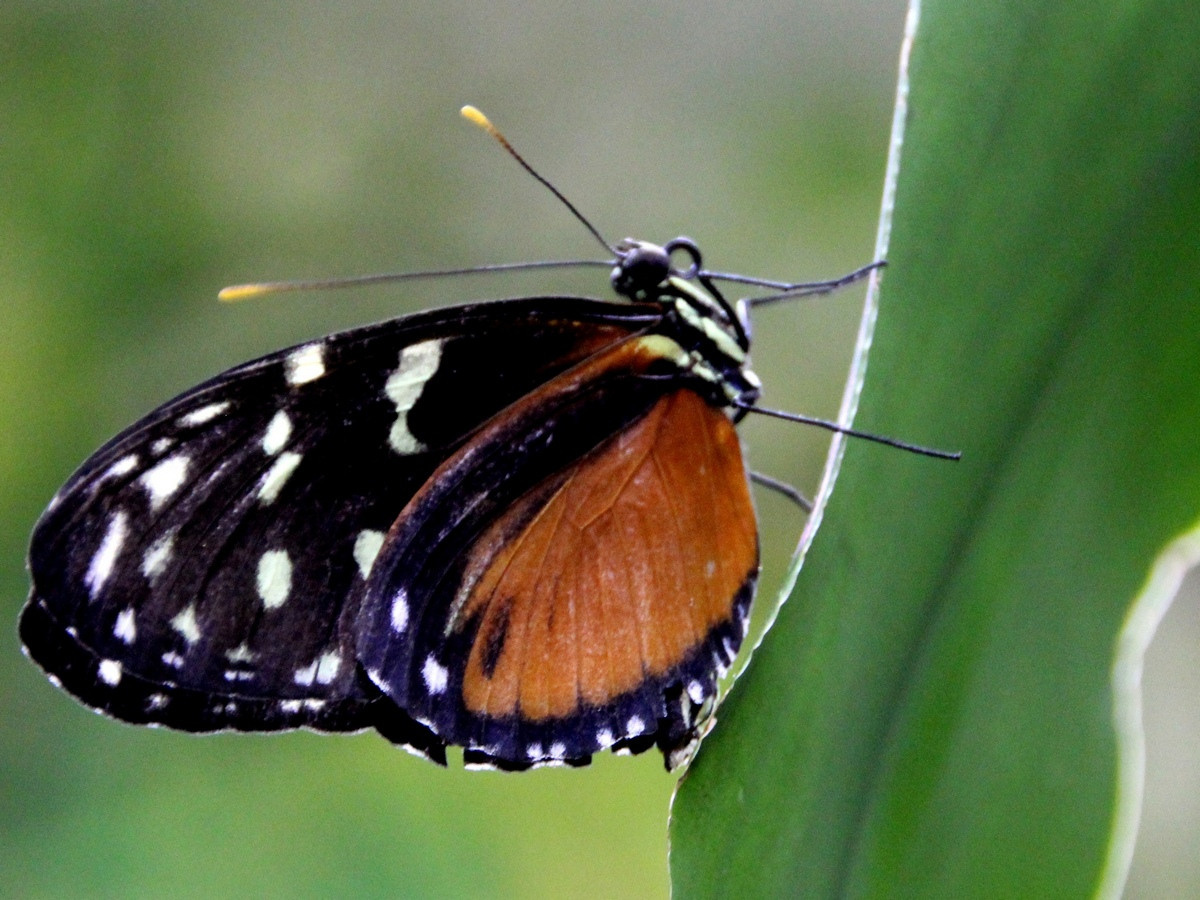 Выставки в Доме Шрёдера. Дом Шрёдера