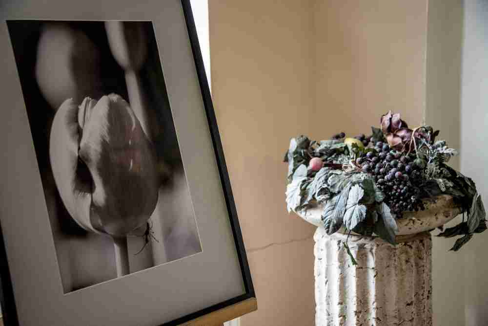 Выставки в Доме Шрёдера. Дом Шрёдера