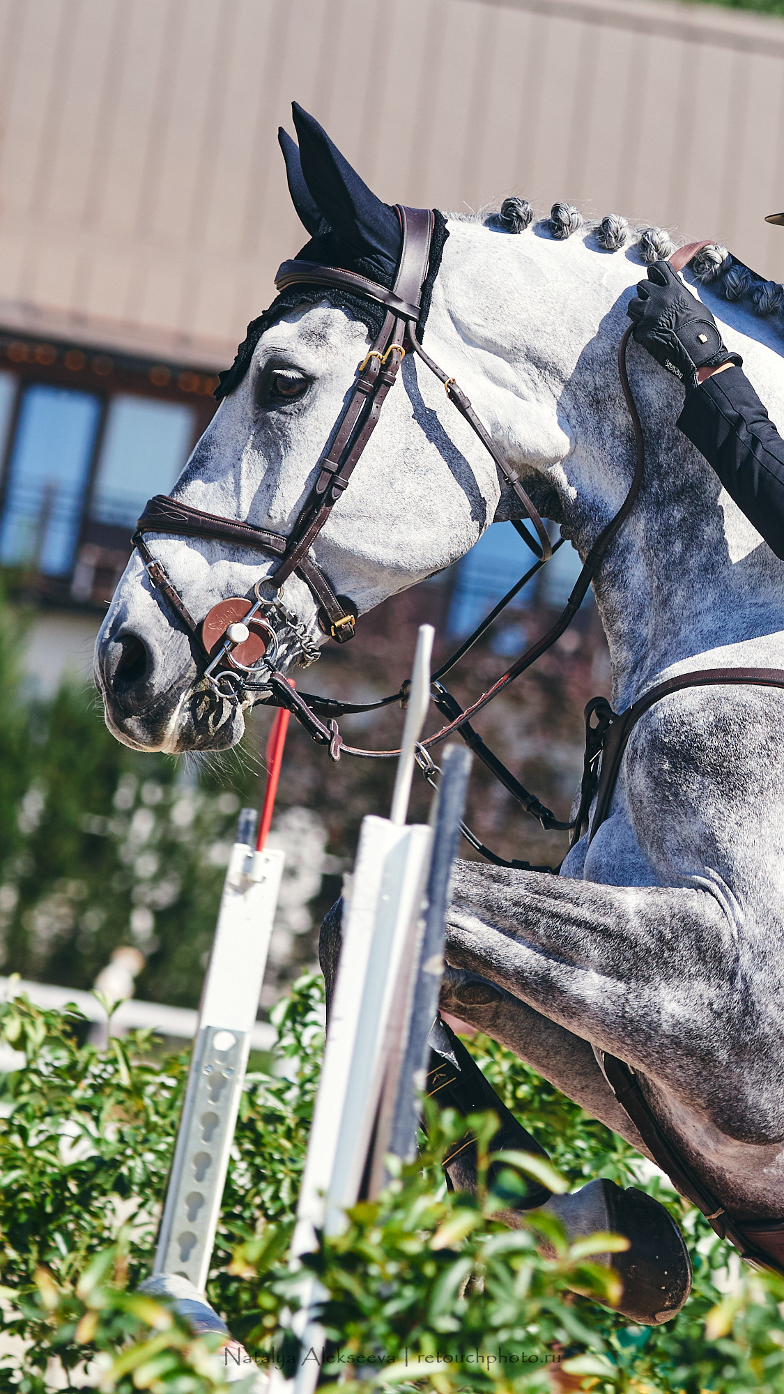 CSI2*-W/CH-B/J-B/YH1*, КСК Отрада | 06'2021. Репортажный фотограф и ретушер в Москве Наталья Алексеева