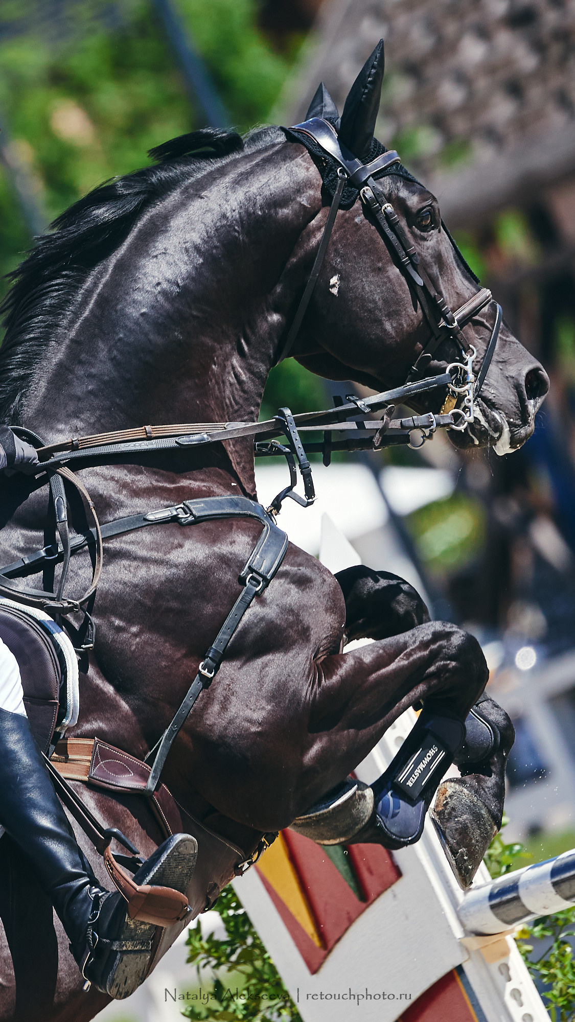 CSI2*-W/CH-B/J-B/YH1*, КСК Отрада | 06'2021. Репортажный фотограф и ретушер в Москве Наталья Алексеева