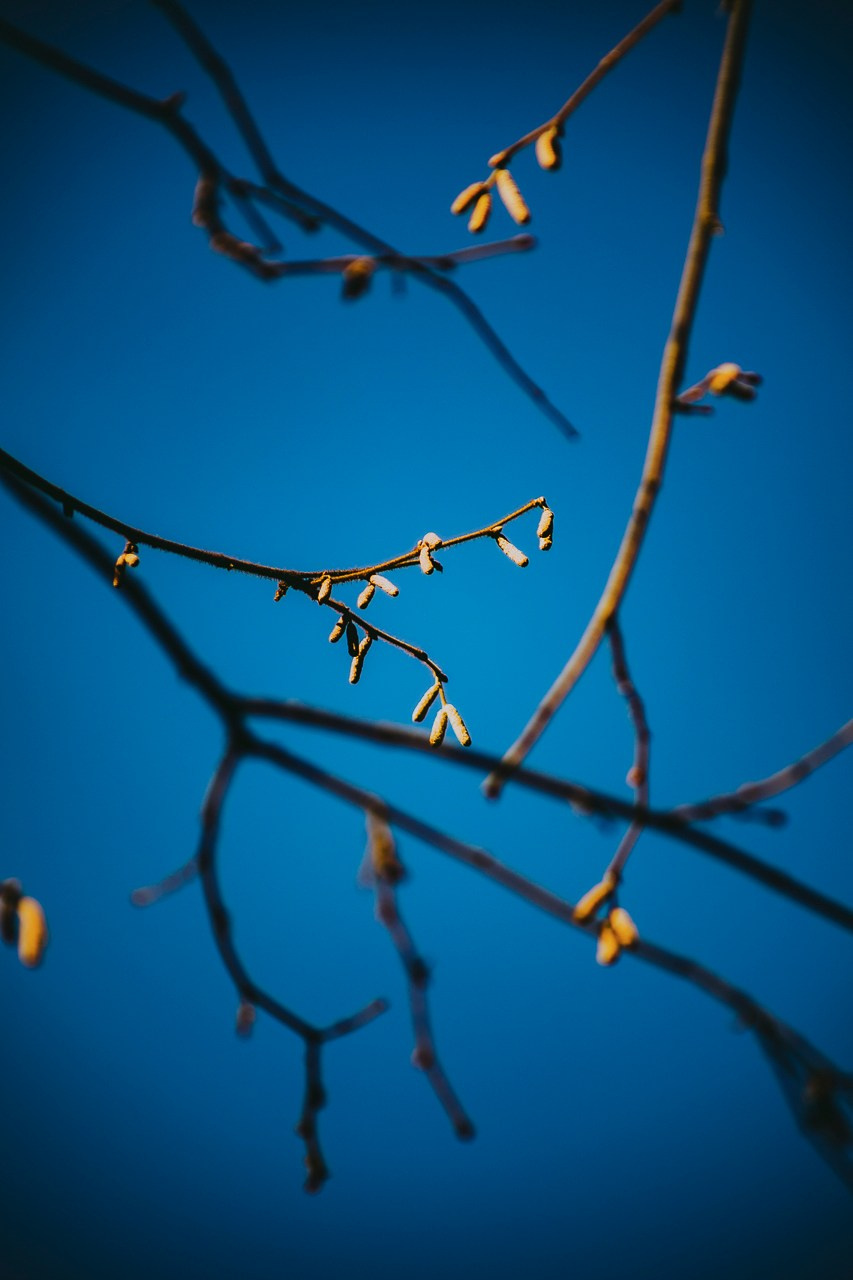 Март 2024. Фотограф в Москве Алиса Ридель