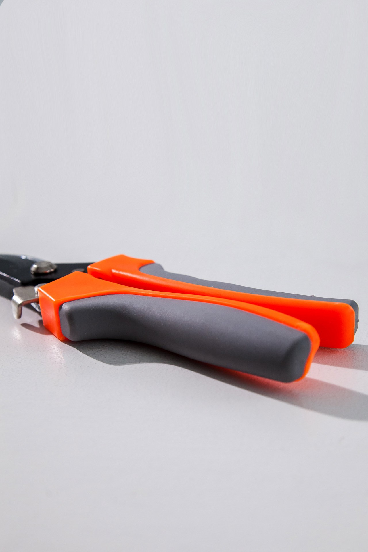 Секатор. Портретный, семейный, свадебный фотограф в Брянске Маргарита Василькова