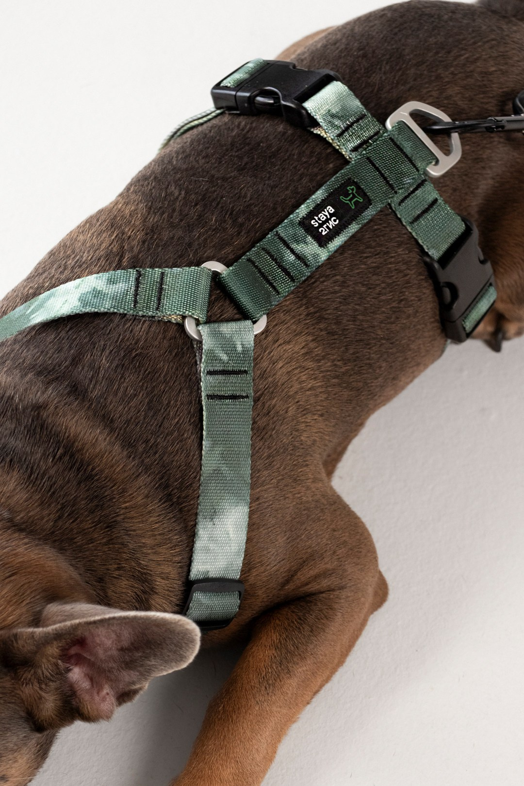 2ГИС & staya. Романова Александра фотограф в Москве