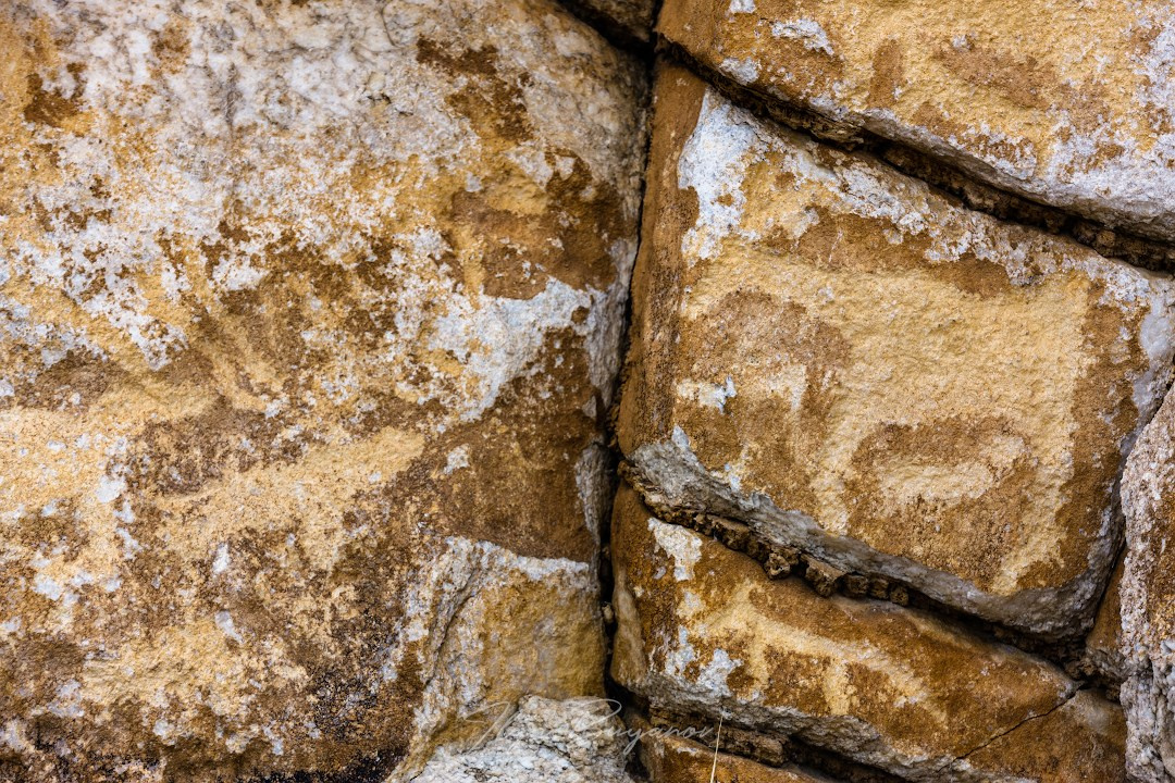 Тажеранская степь. Илья Буянов, гид по Байкалу, фотограф — baikalsky.com