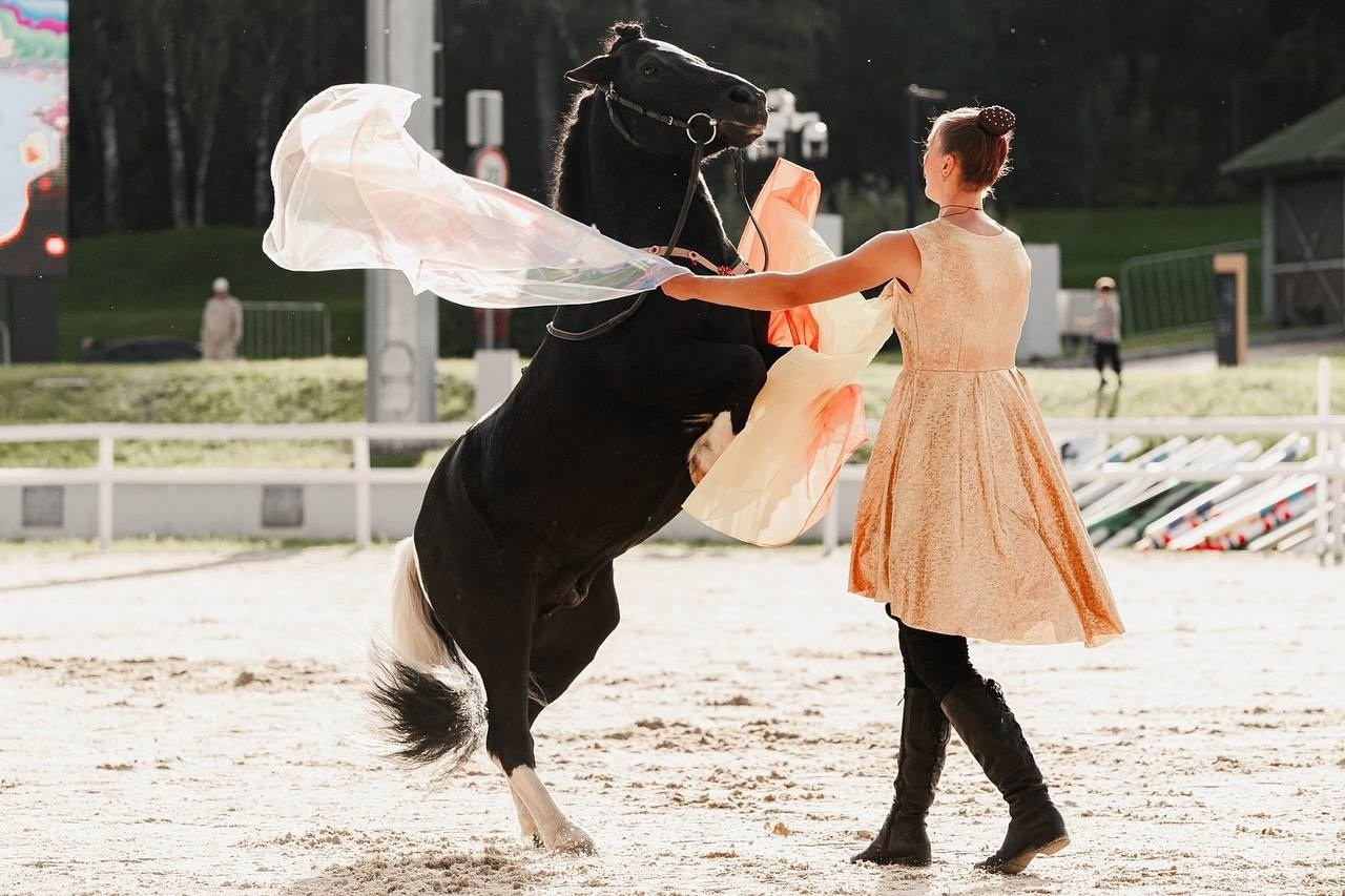 ЭКВИРОС — СЕНТЯБРЬ 2025. Куракина Дарья • Конный фотограф