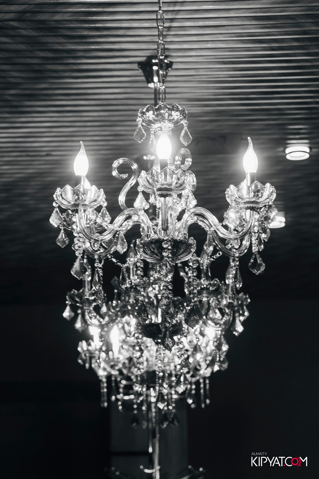 РЕСТОРАН ВЕСЕЛИДЗЕ НА АБАЯ. КИПЯТКОМ АЛМАТЫ!