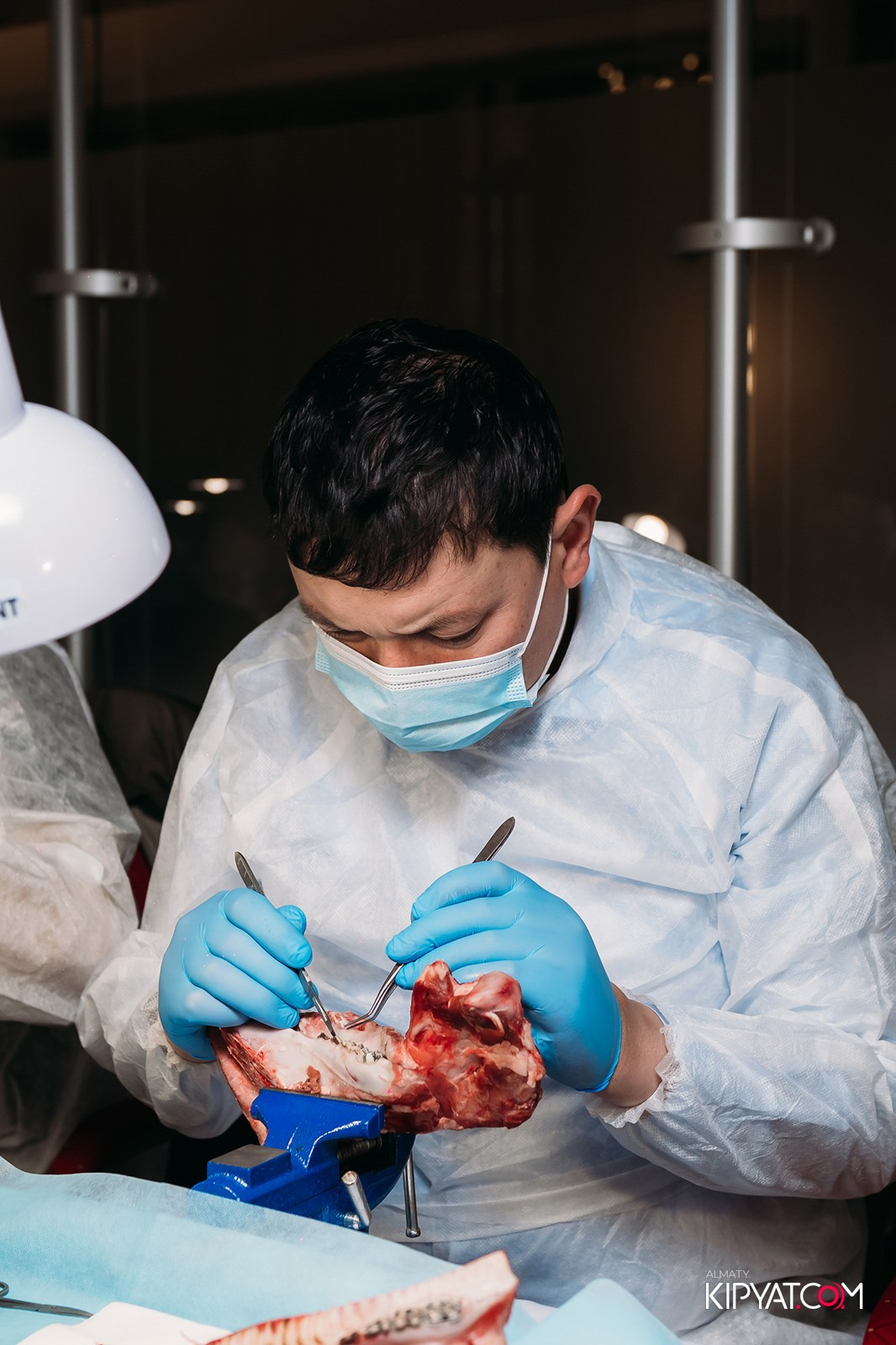 КУРС ДЛЯ СТОМАТОЛОГОВ ОСЛОЖНЕНИЯ В ХИРУРГИЧЕСКОЙ ПРАКТИКЕ КТО ВИНОВАТ И ЧТО ДЕЛАТЬ. КИПЯТКОМ АЛМАТЫ!