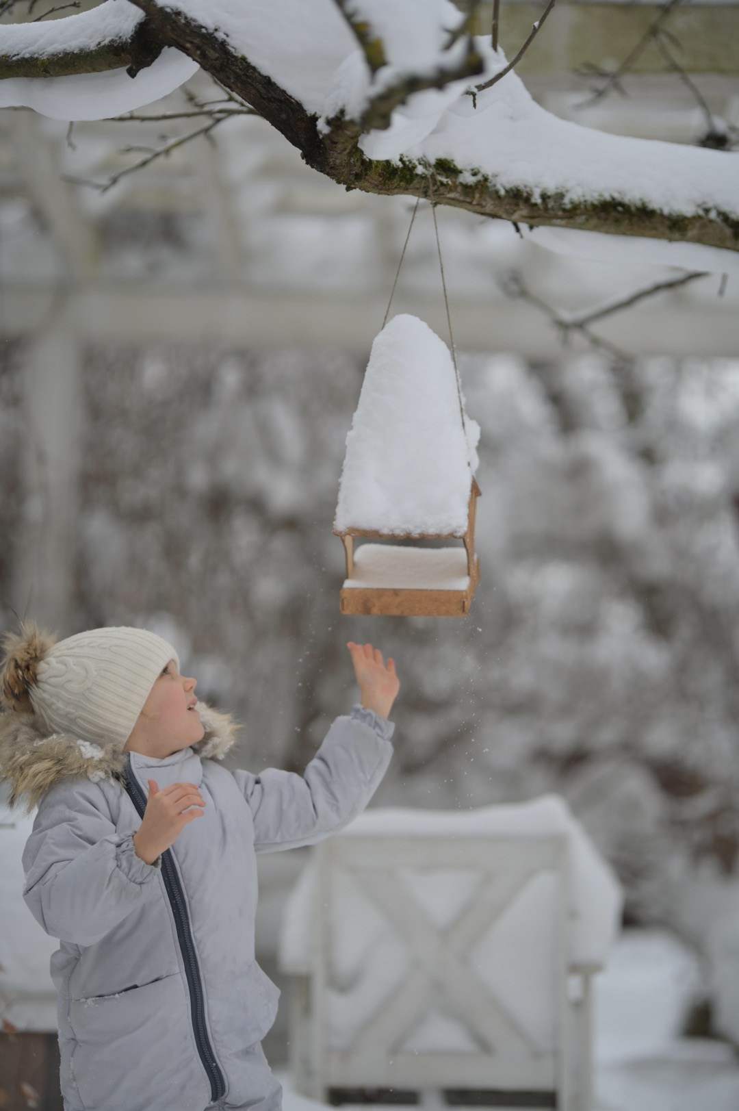 В снегу). Фотограф Ваших событий 📸