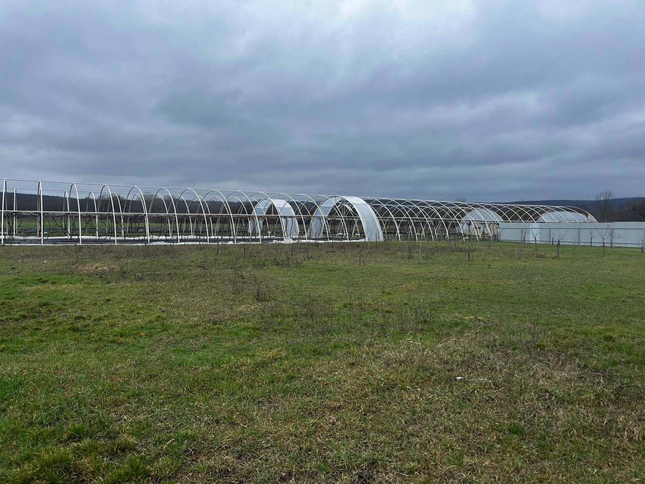 Агро Земельный массив Неберджаевская. Инвестиционный консалтинг Недвижимость