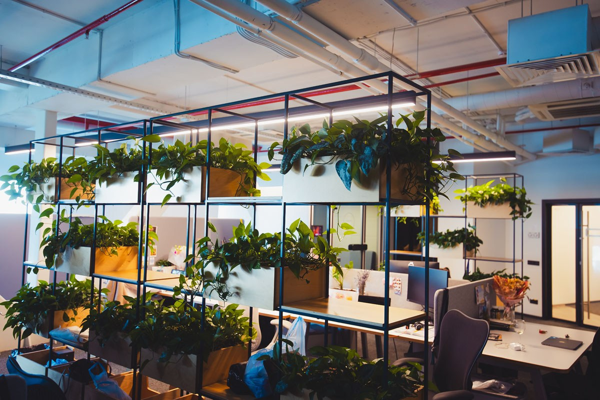 БЦ «5 МОРЕЙ» День рождения «YANDEX» Ростов-на-Дону