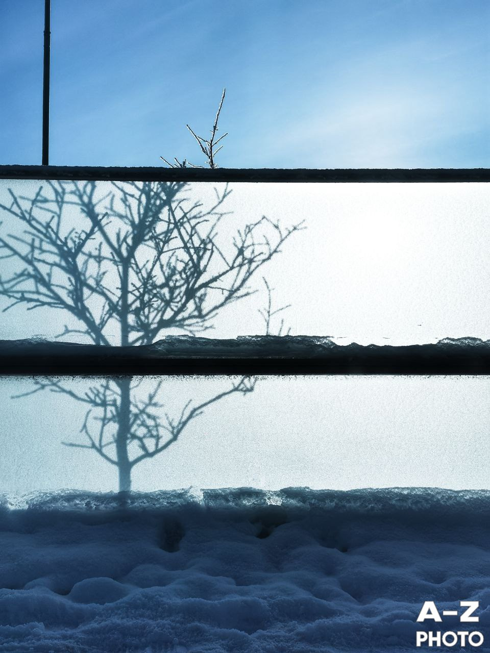 #ФОТОНЕДЕЛИ 15.02.2026. Женский семейный фотограф Тула Москва Захарова Анна