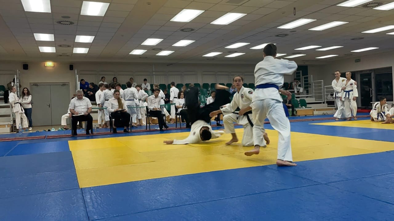 Галлерея. АйкидоТатарстан