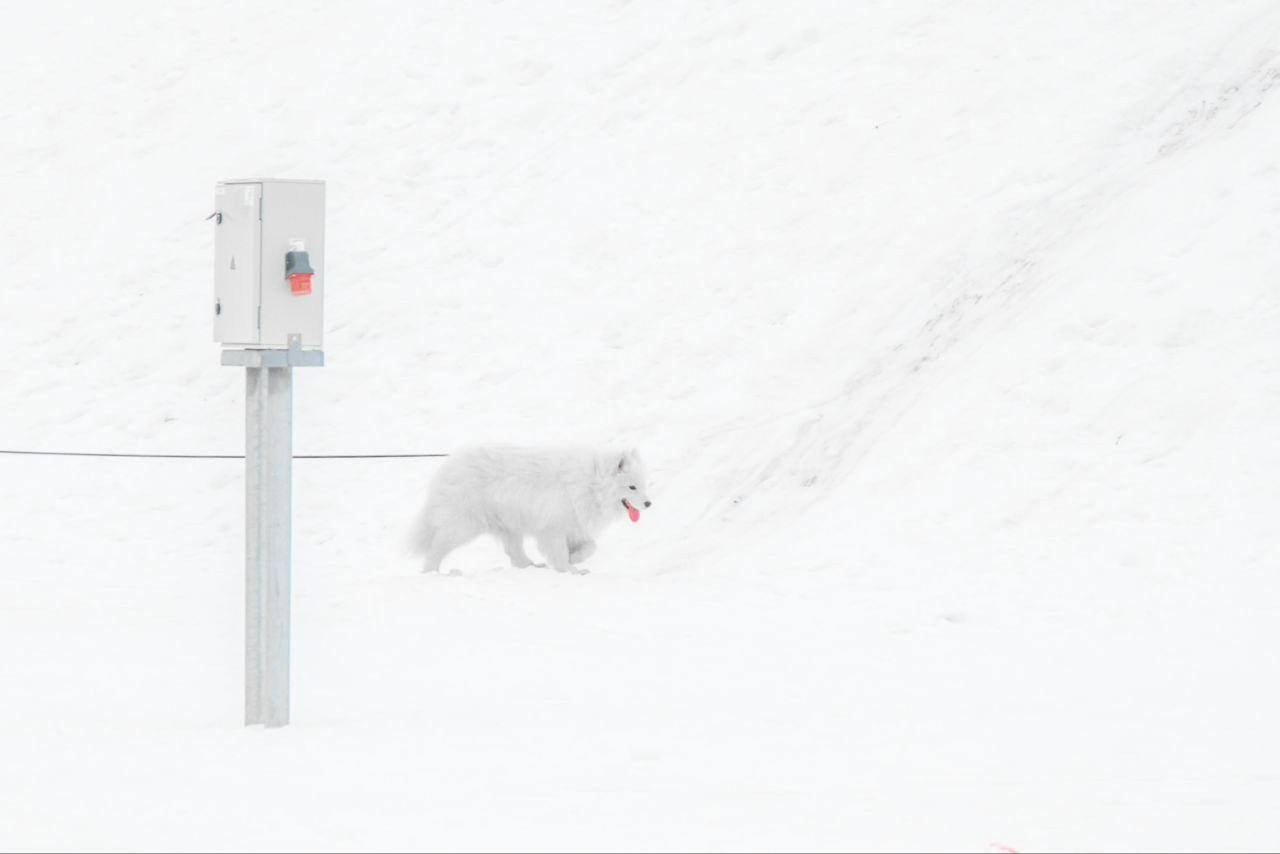Курс "Композиция". Наталья Жукова. Курсы фотографии