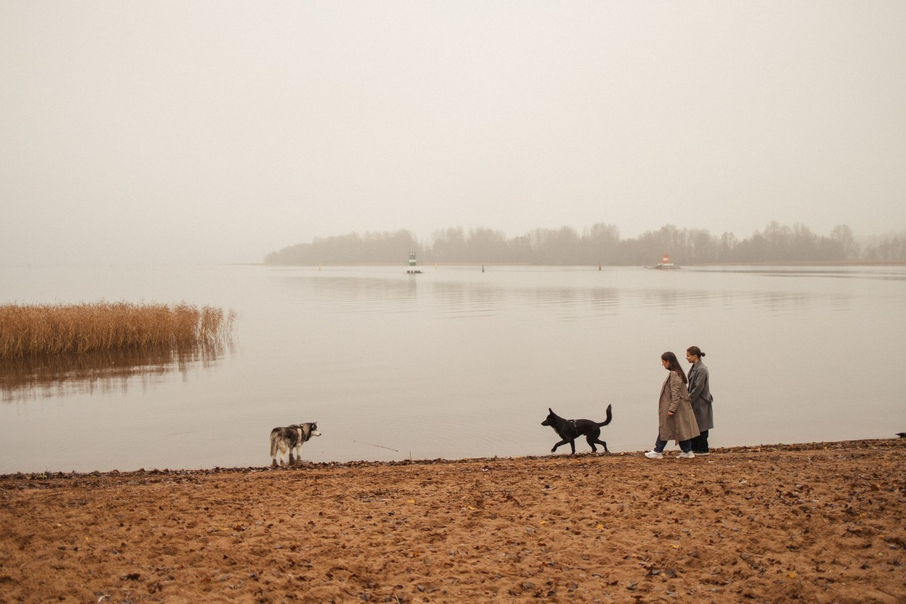 Отзывы. Фотограф в Выборге и Санкт-Петербурге Маша Гуляева