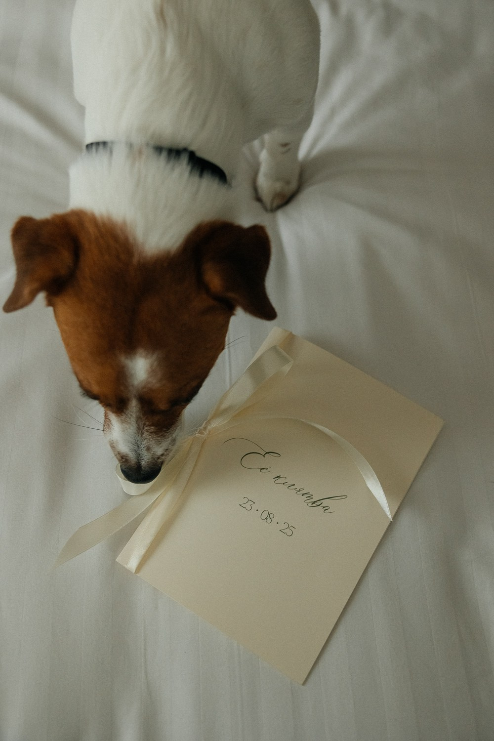 Timeless. Свадебный фотограф Москва