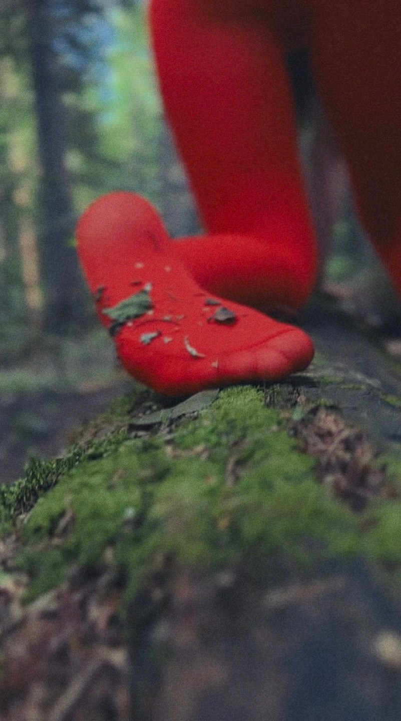 Женская фотография. Женский фотограф, видеограф, визуальный артист. Радужный ХМАО