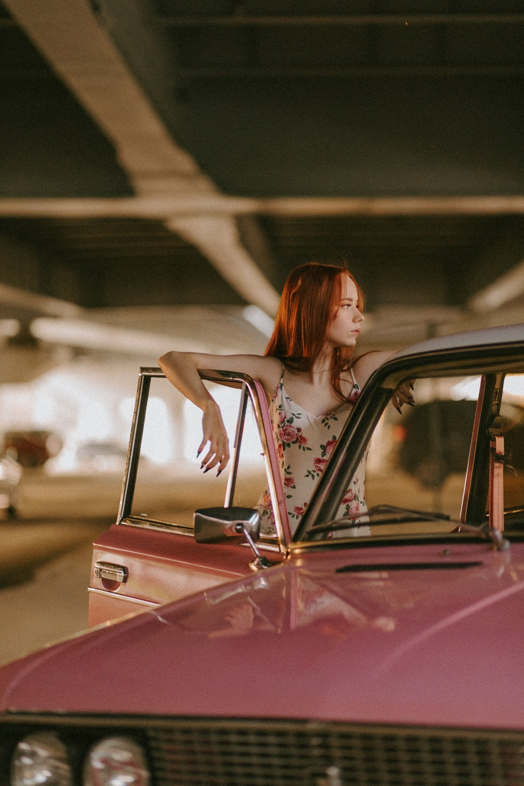 Розовый закат. Павел Померанцев