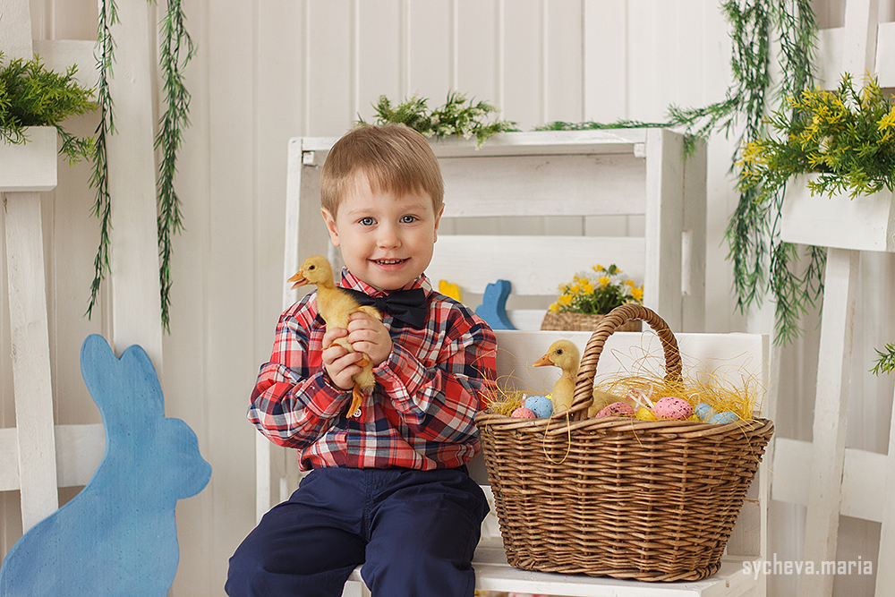 Семейная пасхальная фотосессия в студии с цыплятами. Детский и семейный фотограф, фотограф мероприятий Нижний Новгород