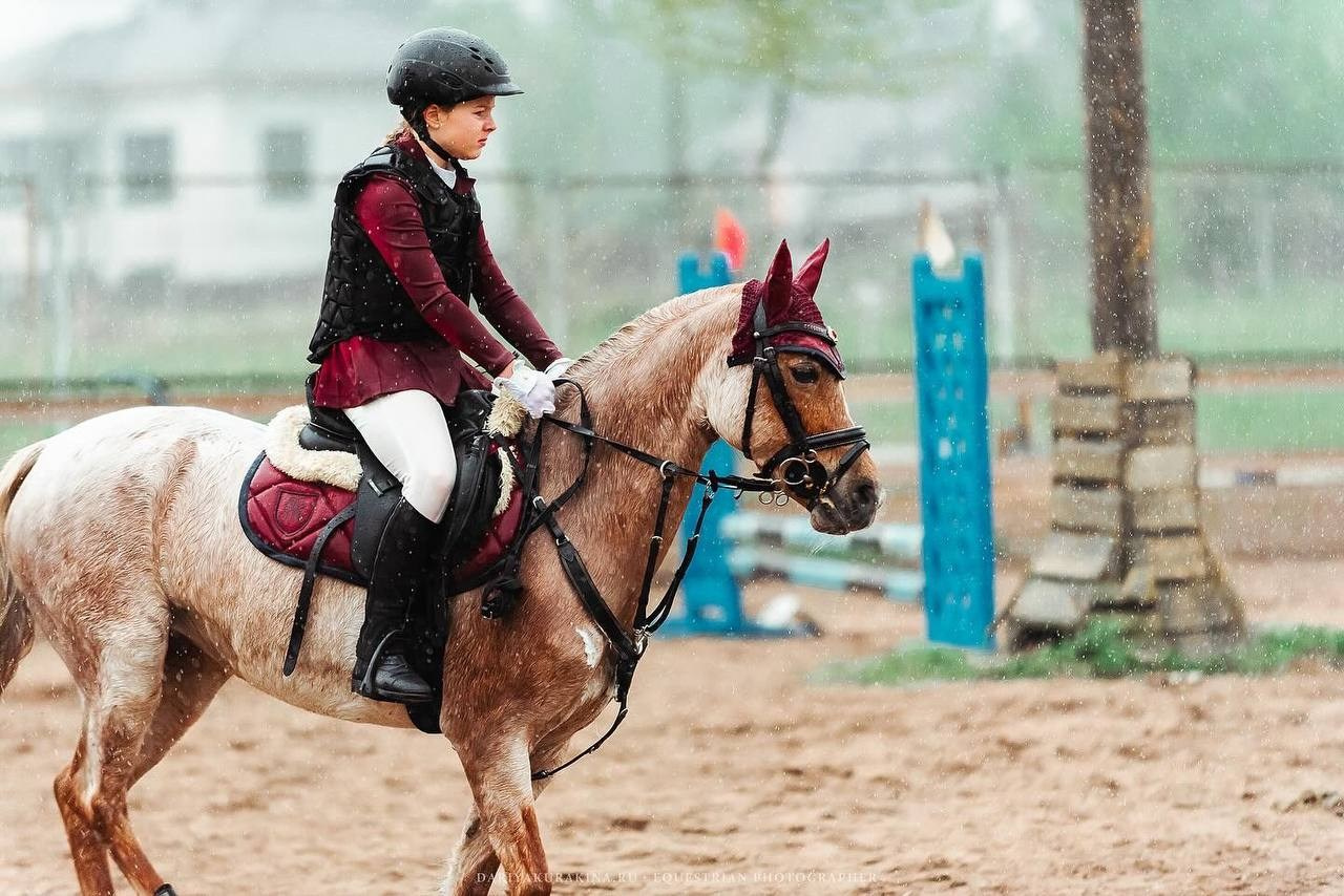Весенний Кубок по конкуру КСК «Созвездие». Конный фотограф Куракина Дарья • Фотосессии с лошадьми