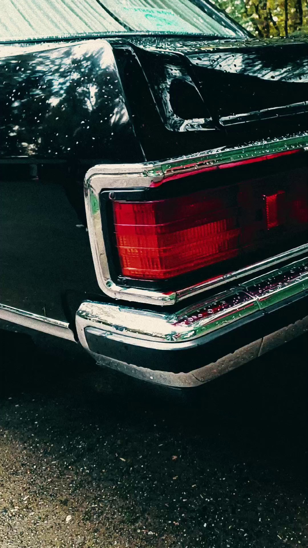 Видеосъемка Алекс ДеФильм