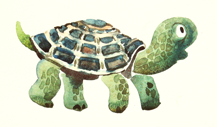 Brother Fox and Brother Rabbit. Анна Гантимурова иллюстратор, театральный видеохудожник мультипликатор