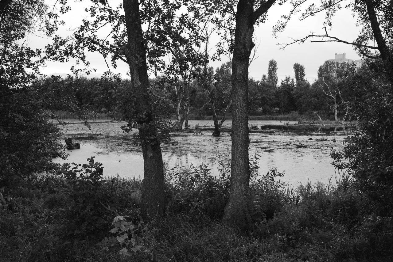 Sedimentation. Пылина Ирина — современная фотография