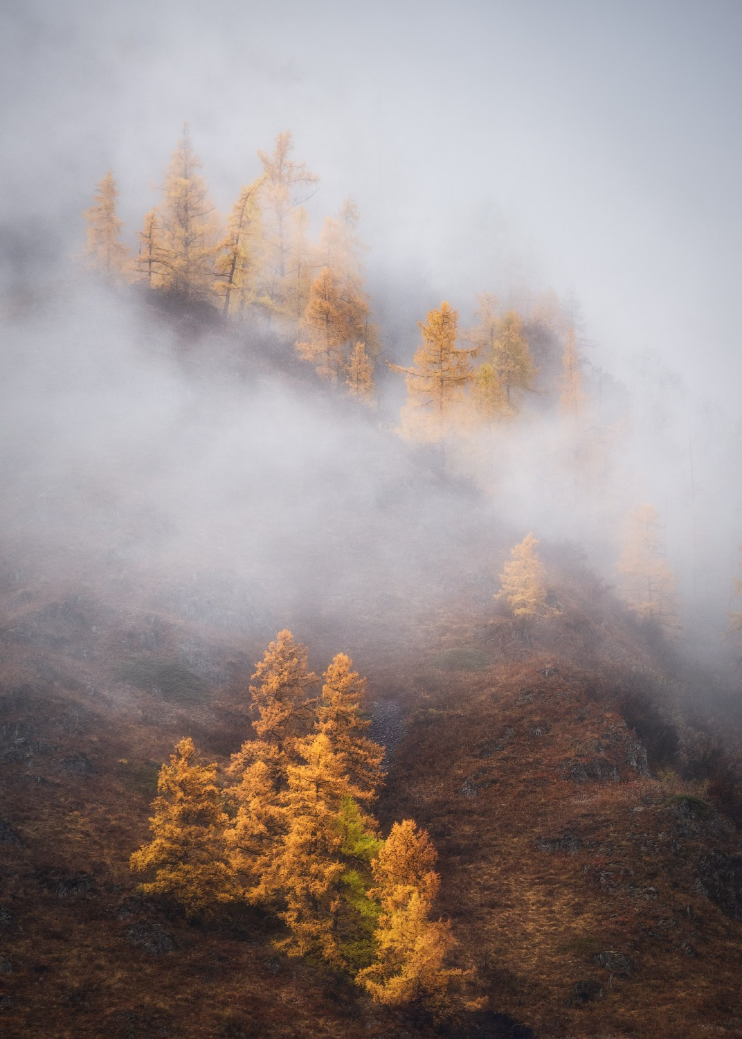 Состояния природы. Профессиональный пейзажный фотограф Алёна Рубан