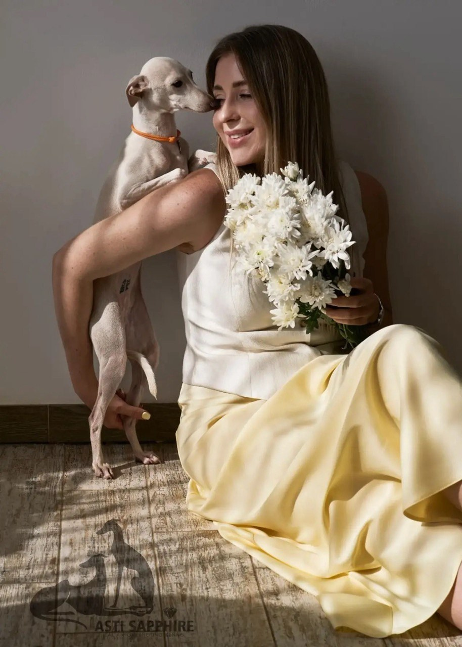 Asti Sapphire Yaasiina Laysan Cerulian. Профессиональный питомник левреток РКФ/FCI ASTI SAPPHIRE 💎 Сочи|Санкт-Петербург