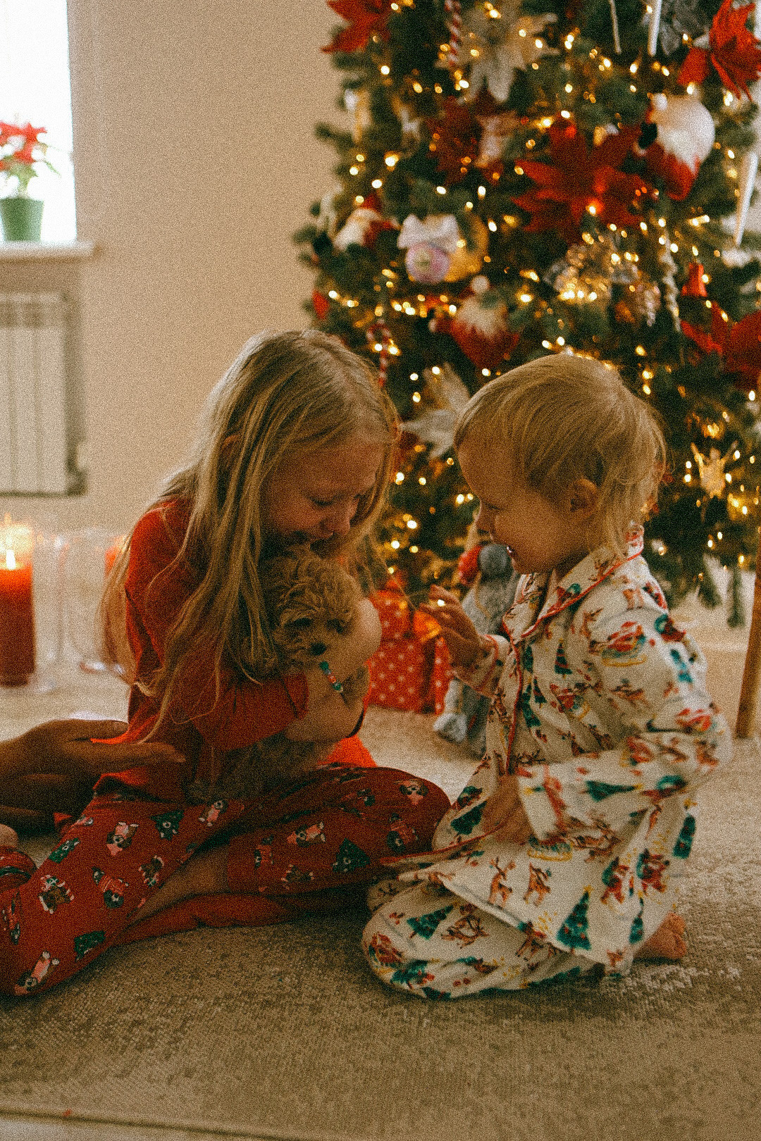 Рождественское чудо. Фотограф Нижний Новгород